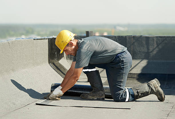 Best Blown-in Insulation in Bee Ridge, FL